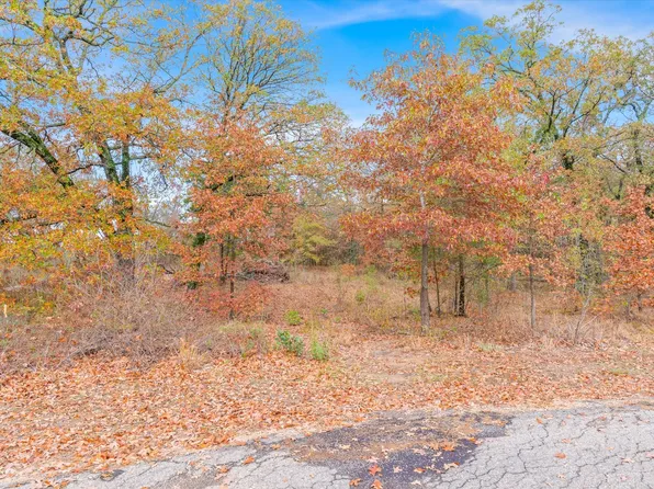 Private Road 6374, Alba, TX 75410