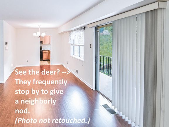 5th image of 10655 Montrose Ave APT 3
