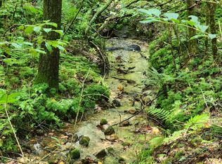 0 Macedonia Church Rd, Blue Ridge, GA 30513