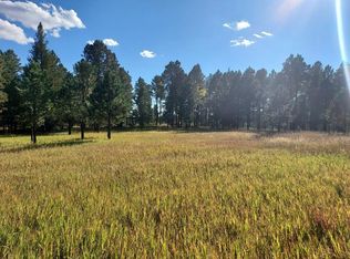 21661 Gold Dust Trl, Nemo, SD 57759