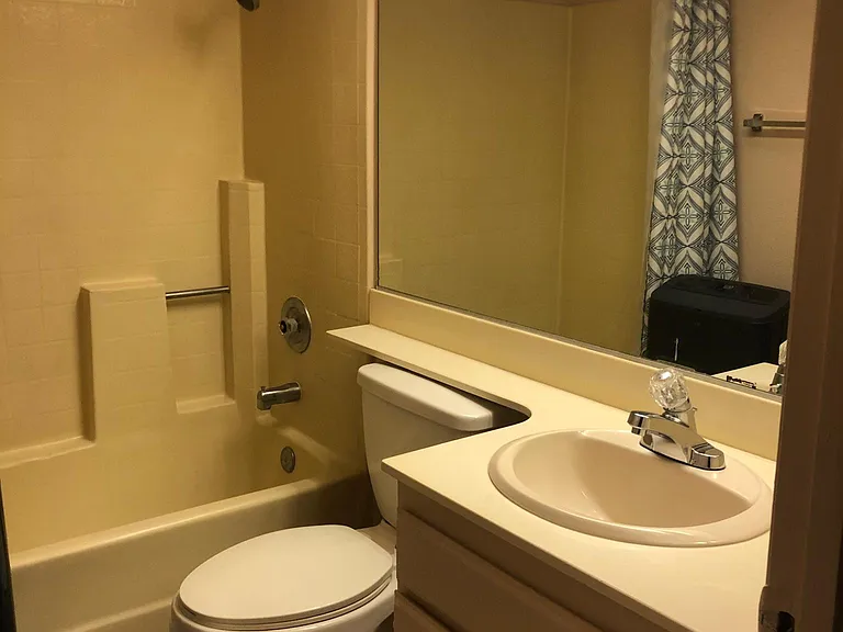 Guest bathroom