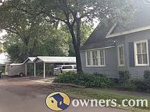 Side view-live oak tree