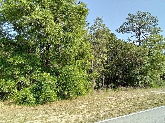 3rd image of 10311 N Elkcam Blvd