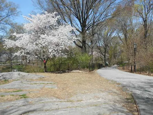 Rented by Aventana | media 23