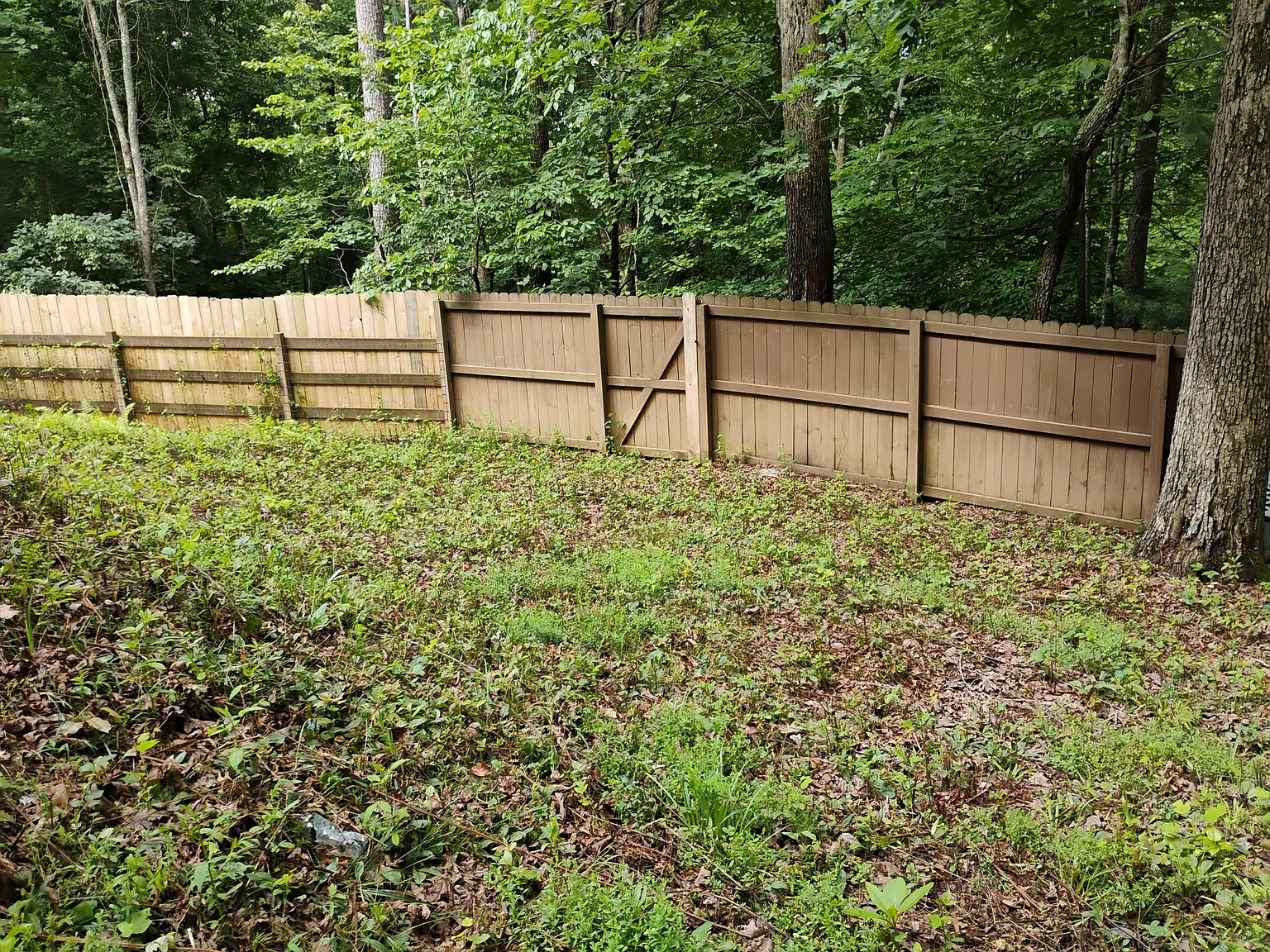 2 bed, 768 sqft, $1,000 — Photo 2