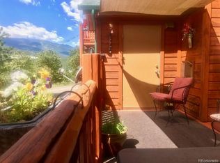 303 Virginia Rd #B, Bailey, CO 80421