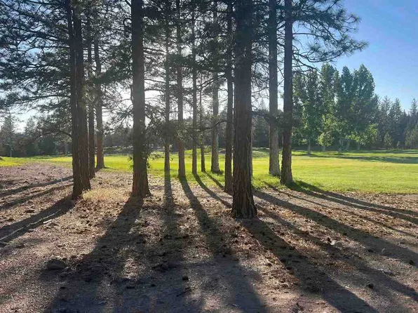 LOT 11 Lake Shore Dr, Weed, CA 96094