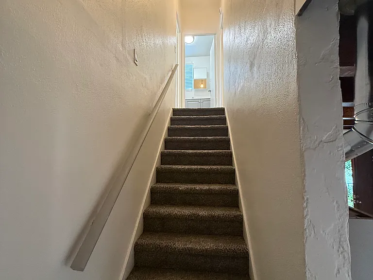 251 Hamilton St — Photo 8