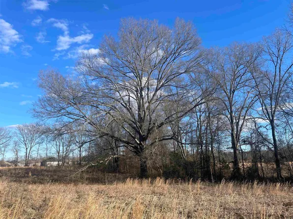 Weatherwood Dr, Greenbrier, AR 72058