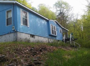 466 Curtis Ln, Hamden, NY 13782