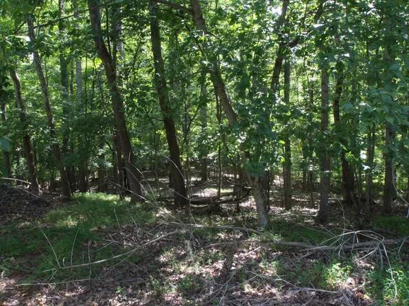 37 Leah Beth Dr Lot A2-37b, Madison Heights, VA 24572