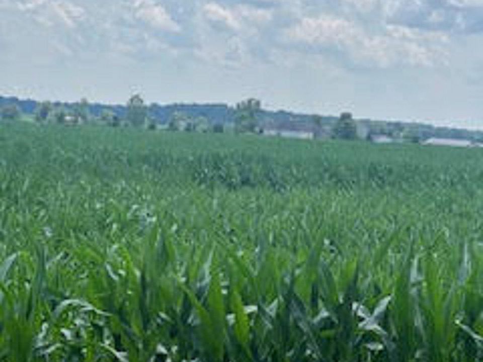 2nd image of 1000 Dinius Rd #1000