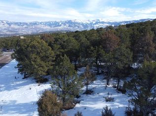 30 Pinon Rd W, Ridgway, CO 81432