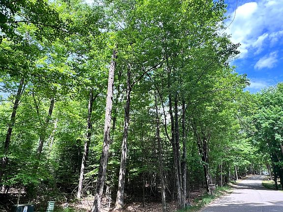 5th image of LOT 33 White Pine Loop
