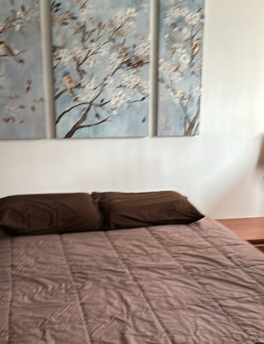 3 bed, 1520 sqft, $900 — Photo 1