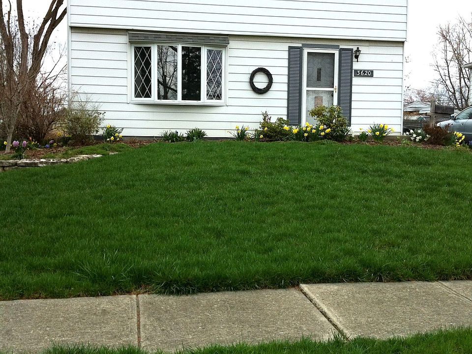 1st image of 3620 Bolamo Dr