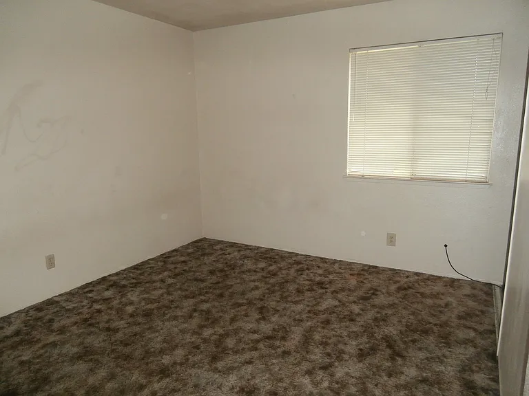 239 Sunnyhills Dr — Photo 14