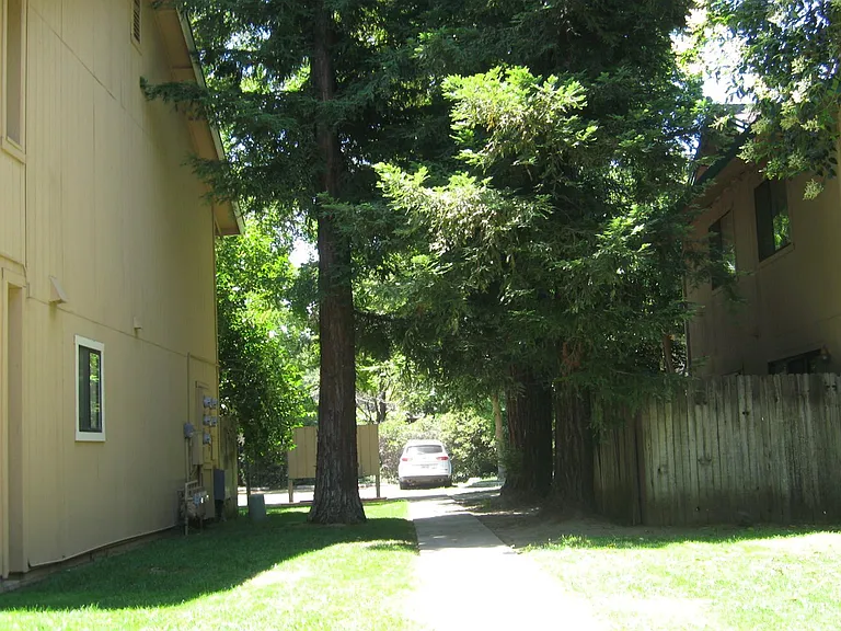 807 Adams St #A — Photo 13