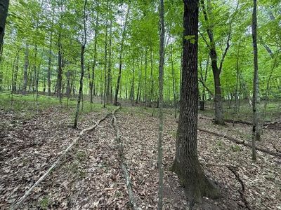 Vl W Timber Trl, Baldwin, MI, 49304