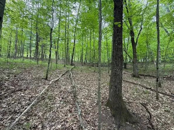 Vl W Timber Trl, Baldwin, MI 49304