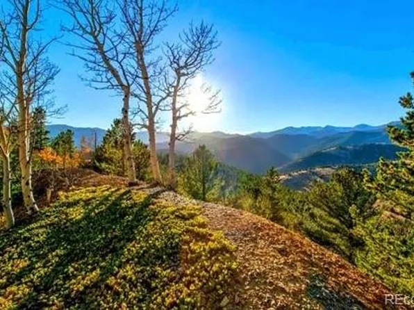 1111 Paris, Idaho Springs, CO 80452