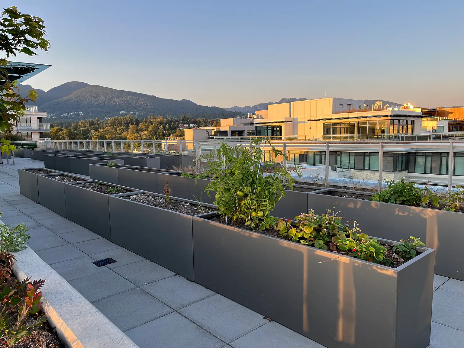 407 Harbour Way, North Vancouver — Photo 4