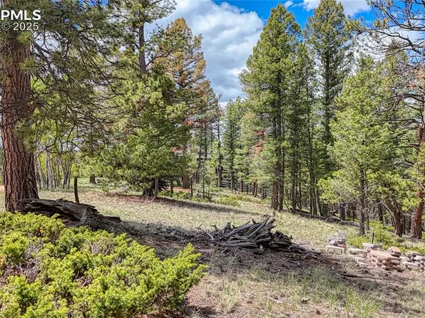 26 N Eldorado Cir, Florissant, CO 80816