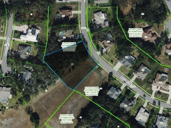 Bascomb Ln, Hudson, FL 34667