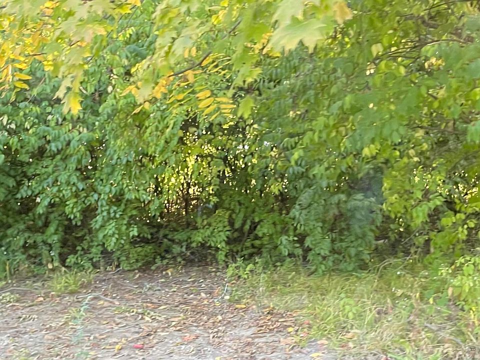 2nd image of 3419 Brookside Blvd