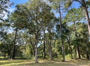 6028 Mossey Grove Ln, Awendaw, SC 29429