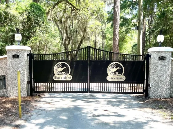 19 Black Island Rd SE, Darien, GA 31305