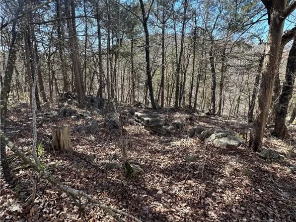 13 N Star Loop #26, Eureka Springs, AR 72631