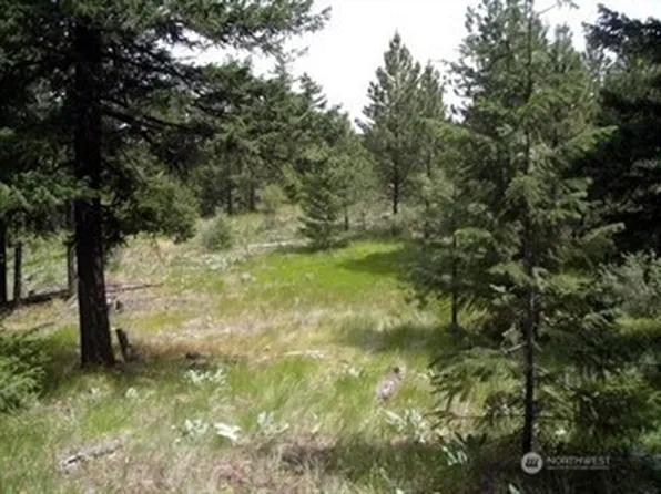 0 Mule Deer Road, Waterville, WA 98858