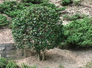 3331 Spain Rd, Snellville, GA 30039