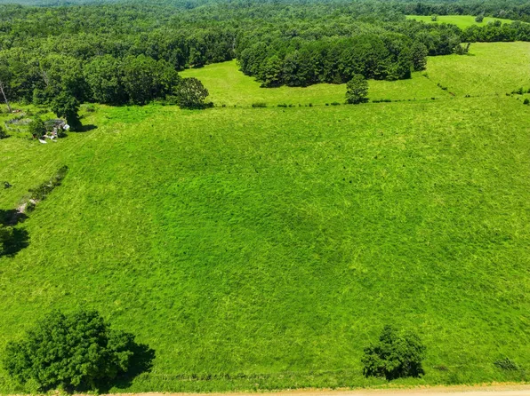 (undisclosed Address), Mountain View, MO 65548