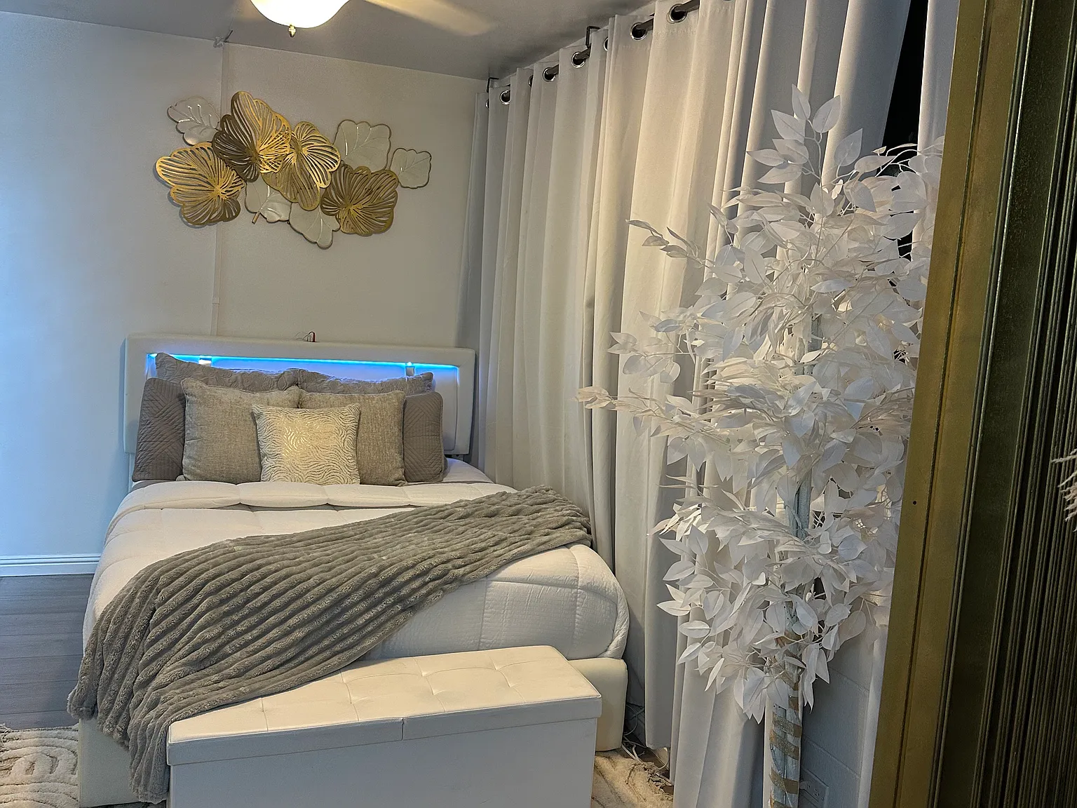 1 bed, 567 sqft, $2,200 — Photo 4