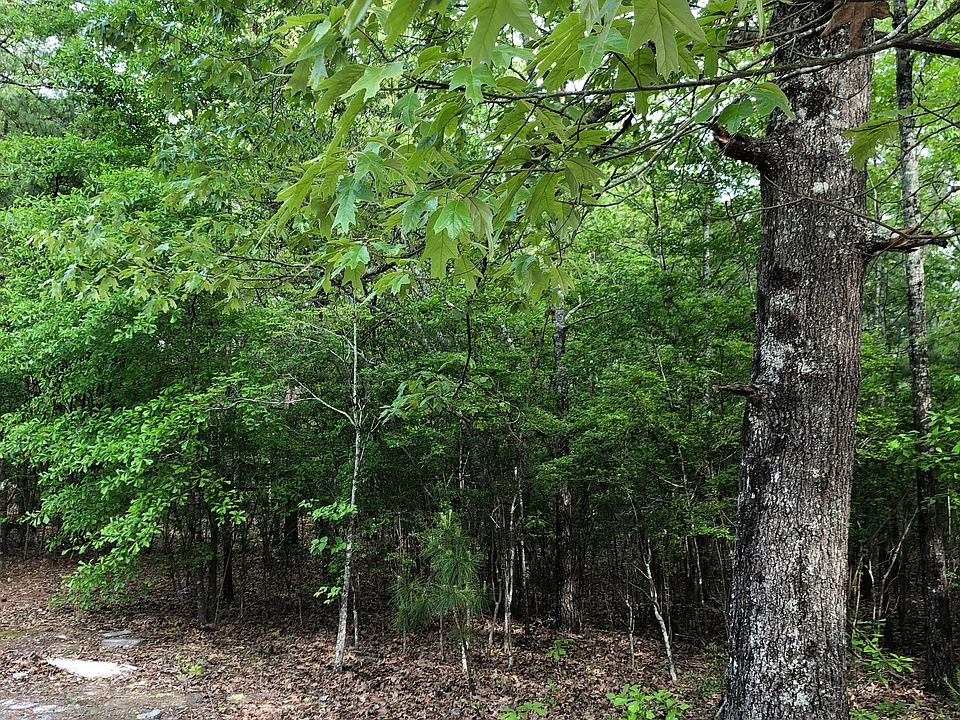2nd image of 1055 Jones Wire Rd