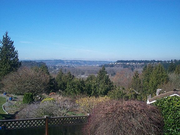 View from back deck