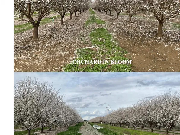 18275 Jensen Ln, Esparto, CA 95627