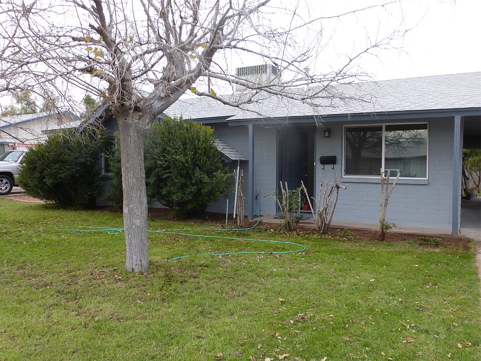 Front Yard in Winter