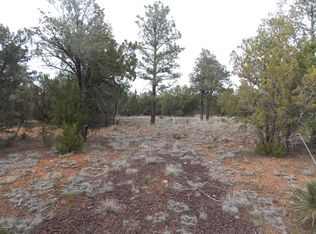 2961 Homestead Dr, Overgaard, AZ 85933