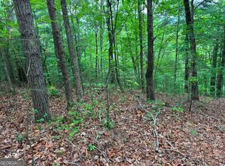 1674A Hunter Dr, Ranger, GA 30734