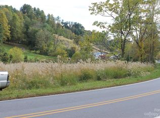 1075 Calvin Edney Rd, Mars Hill, NC 28754