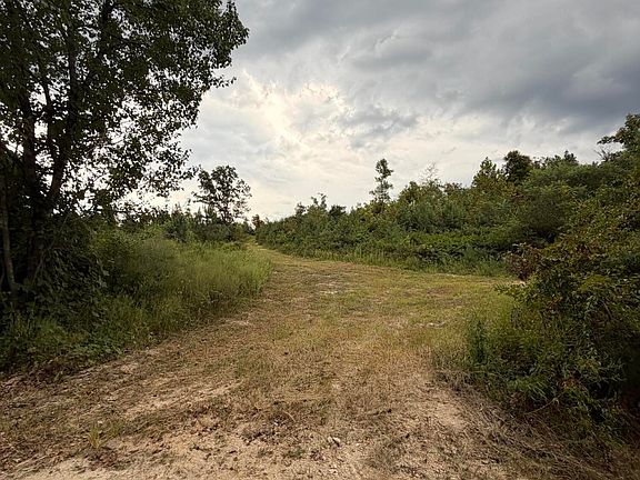 4th image of LOT 2 Bethel Rd Lot 2