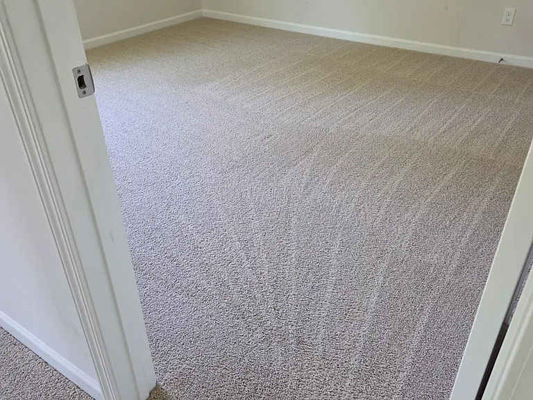 271 Lilys Pl — Photo 20