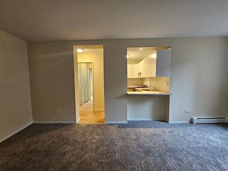 Lincoln Park Living! — Photo 25