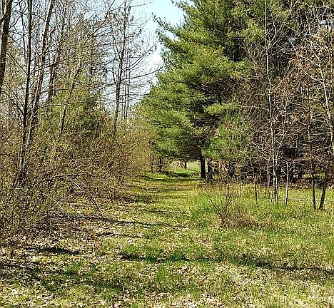 Path west of house
