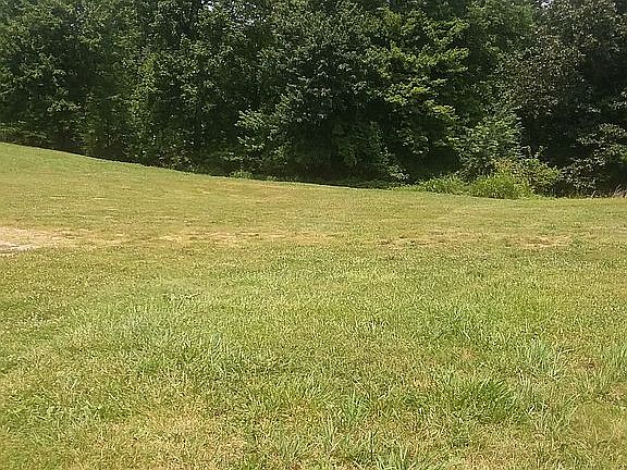 15 acres. Approx. 7 with timber