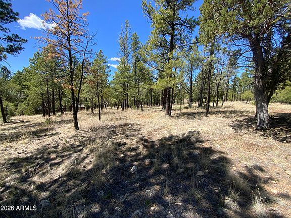5th image of 2870 COYOTE Ridge #54