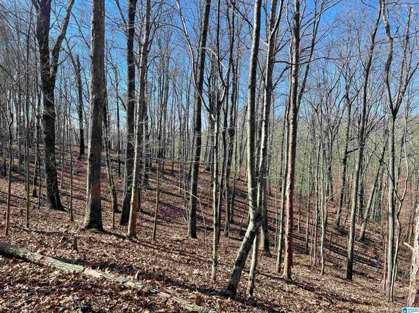 0 County Road 852 #3, Heflin, AL 36264